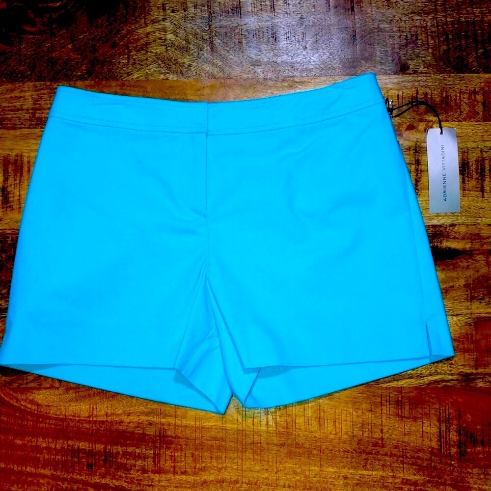 NWT Adrienne Vittadini sky blue short size 6